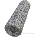 Powder Coated Galvanized Welded Wire Mesh